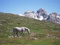 DOLOMITI2009 (208)